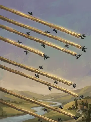 완드 8 카드 그림